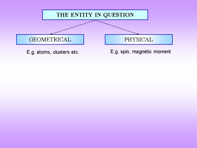 THE ENTITY IN QUESTION GEOMETRICAL PHYSICAL E.g. atoms, clusters etc. E.g. spin, magnetic moment